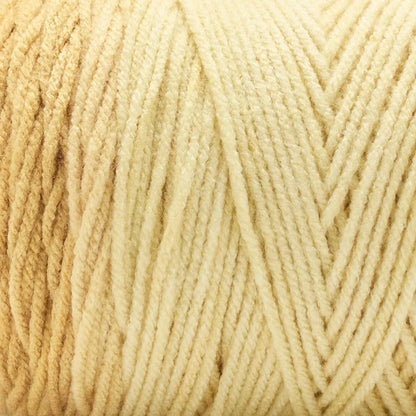 Basix® Worsted Value Ombre